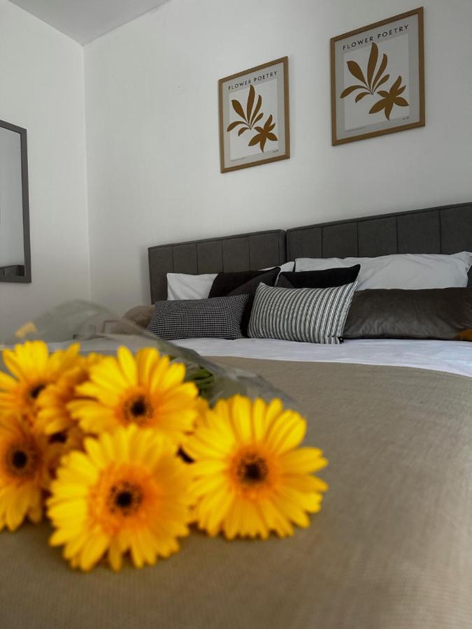 Lu Apartament Rupa