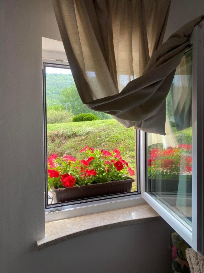 Lu Apartament